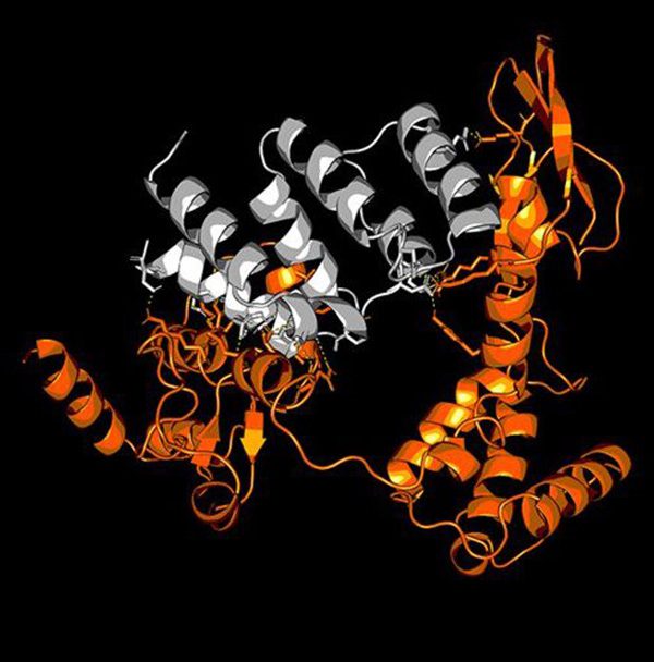 the Great Cellular Heist logo